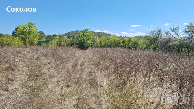 В планината на асфалт, снимка 3 - Парцели - 51619427