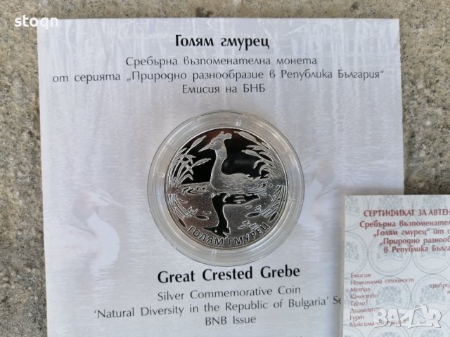 Сребърна монета 10 лева 2022 година Голям Гмурец , снимка 7 - Нумизматика и бонистика - 38096802
