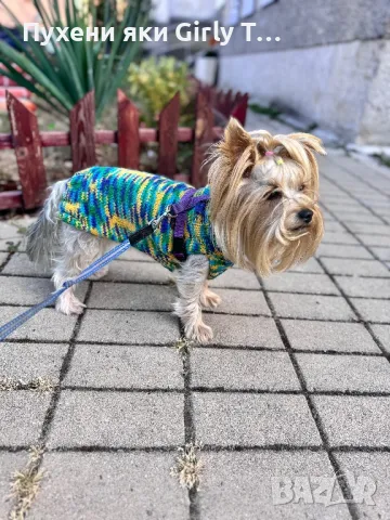 Плетена дрешка за куче по Индивидуален размер Различни цветове , снимка 11 - За кучета - 44343726