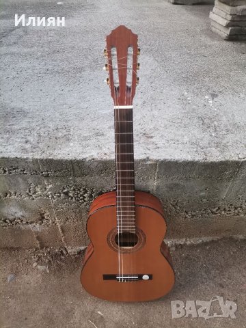 Китара-höfner