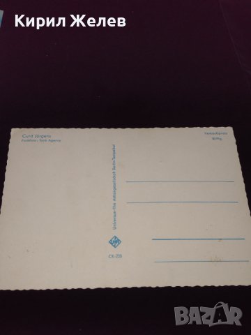 Две стари картички много красиви редки за КОЛЕКЦИЯ ДЕКОРАЦИЯ 41669, снимка 4 - Колекции - 43126742