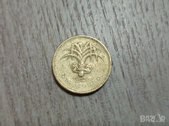 Монета 1990 Великобритания £1 pound (Welsh Leek) - Elizabeth II
