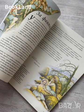 Енциклопедия Фентъзи – Джуди Алън, Фют , снимка 16 - Детски книжки - 53295584