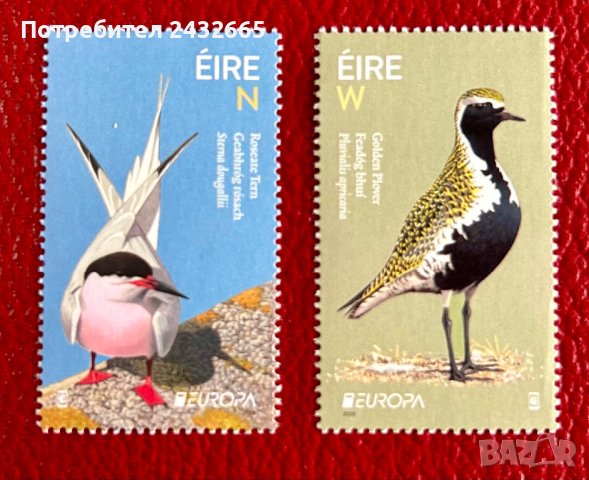 26. Ейре 2019 = “ Фауна. Europa Stamps- National Birds”,**, МNH, снимка 1 - Филателия - 27260152