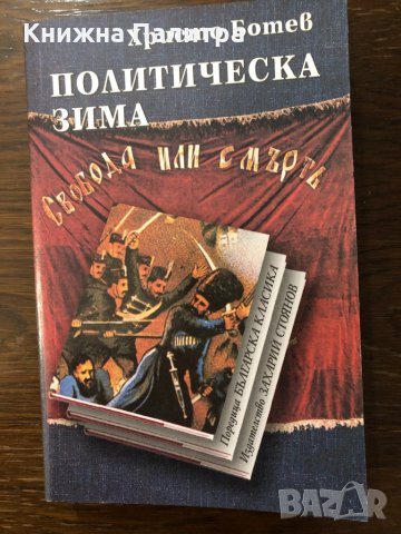 Политическа зима