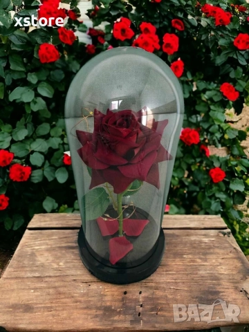 Красива осветена роза в стъкленица с красива подаръчна кутия, снимка 9 - Подаръци за жени - 52793829