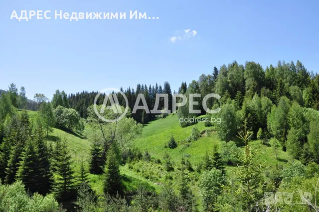 Инвестиционен имот до лифта в с. Стойките , снимка 10 - Парцели - 47345254