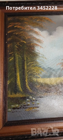 картина платно рамка дървена 65см 55см за ценители , снимка 3 - Картини - 52506076
