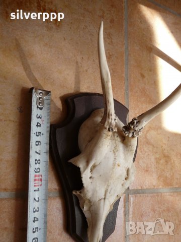  Малко немско трофейче - 4, снимка 3 - Антикварни и старинни предмети - 33176020