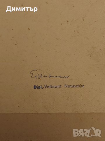 Съвременна Немска Картина., снимка 8 - Картини - 37822034
