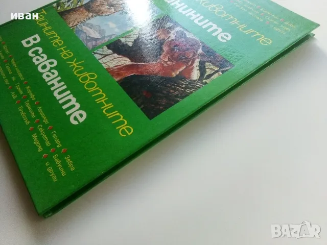 Тайните на животните  - В планините / В саваните - 1991г., снимка 10 - Енциклопедии, справочници - 47526666