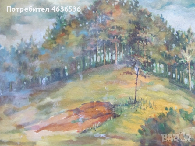 Красива Картина масло, платно , подпис, 50х40см., снимка 4 - Картини - 52573406