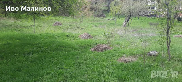 Продавам парцел в регулация , снимка 11 - Парцели - 46527339