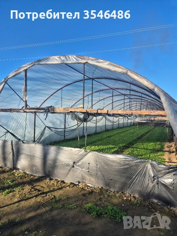 Отдавам под наем оранжерии, снимка 2 - Земеделска земя - 52813629