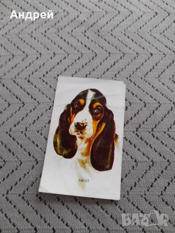 Календарче Басет 1984