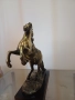 Бронзов кон, снимка 2