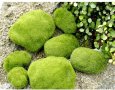 Декоративна изкуствена трева мъх зеленина за декорация пано аквариум крафт и др., снимка 1