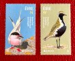 26. Ейре 2019 = “ Фауна. Europa Stamps- National Birds”,**, МNH