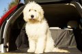 Универсален протектор/подложка/тапицерия за багажник на кола AutoCompanion, снимка 3