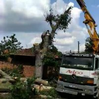 Кастрене, почистване на дворове и премахване на опасни дървета., снимка 1 - Други услуги - 43183562