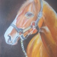 Картини коне, снимка 2 - Картини - 36769426