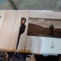 Tanita Tikaram – Vinyl, LP, Album, снимка 2 - Грамофонни плочи - 43055849
