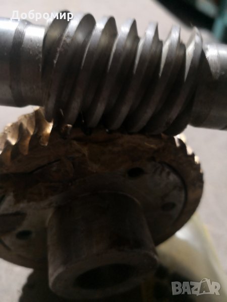 Червяк, снимка 1