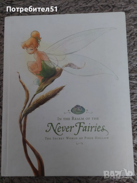 Книга за феи In the Realm of the Never Fairies, снимка 1