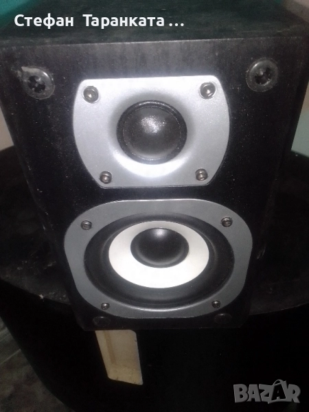 тонколона , снимка 1