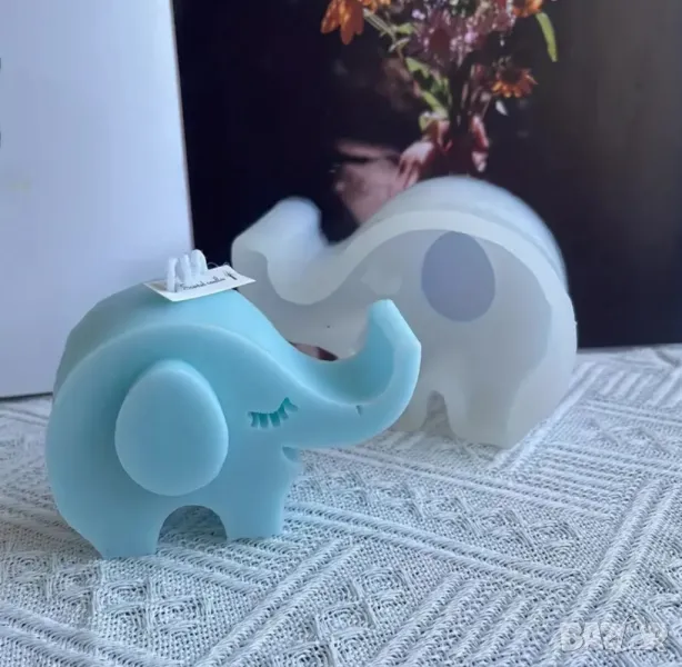 Молд слонче, снимка 1