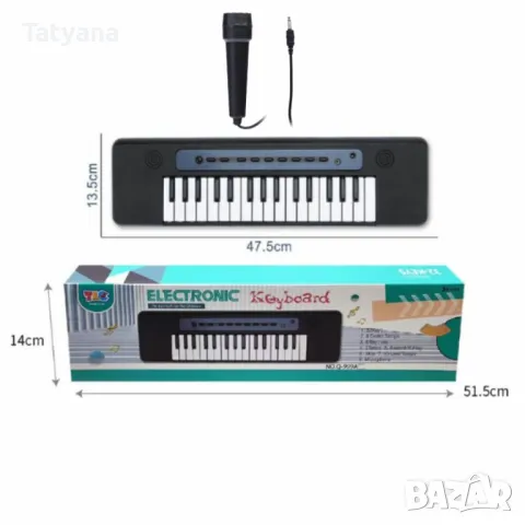 Детска йоника с микрофон , снимка 1