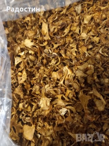 Суха Манатарка Челадинка Булка Пачи крак , снимка 5 - Други стоки за дома - 43181992