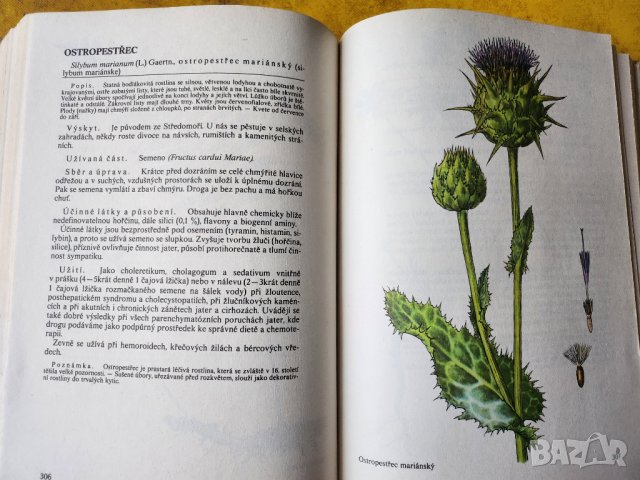 Нашите растения в лекарствата / Nase rosliny v lekarstvi, книга за билките и употребата им-на чешски, снимка 5 - Енциклопедии, справочници - 44843833