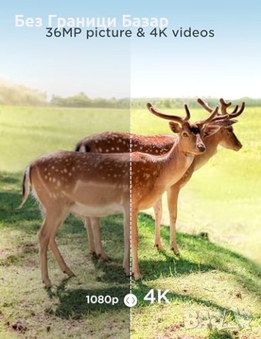 Нова Водоустойчива Камера за диви животни 4K 36MP HD Открито лов наблюдение, снимка 8 - Други - 43022852