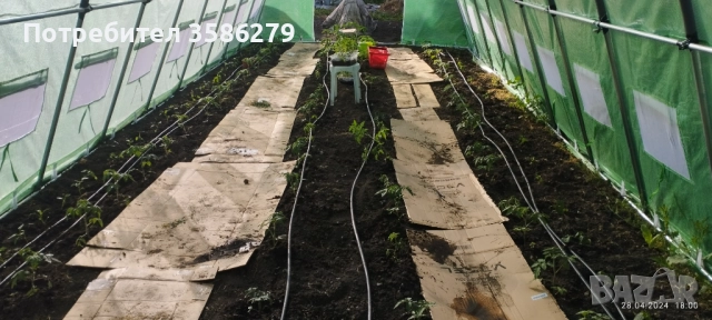 продавам 3 оранжерии 80 кв.м., снимка 5 - Оранжерии - 51869001