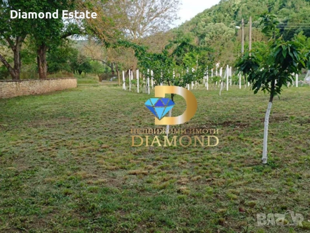 Къща в село Могилово, общ. Чирпан, снимка 5 - Къщи - 51889235