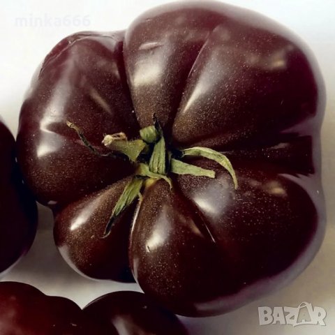 Семена за шоколадови домати, снимка 2 - Сортови семена и луковици - 27726759