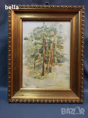 Стар български акварел на художника Тодор Димитров 62 год 