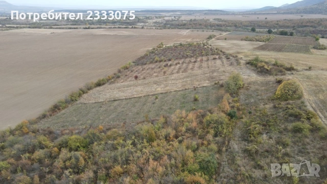 Продавам 11,299 дка земя в землището на с. Имренчево, обл. Шумен, снимка 2 - Земеделска земя - 53530481