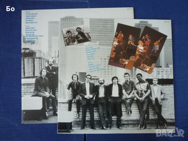 грамофонни плочи Bruce Springsteen, снимка 2 - Грамофонни плочи - 26905079