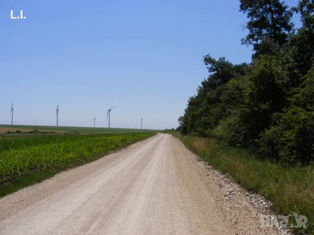 Земеделска земя  30 декара, Суворово/Вълчи Дол , снимка 6 - Земеделска земя - 51201201