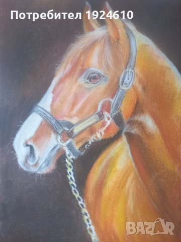 Картини коне, снимка 2 - Картини - 36769426
