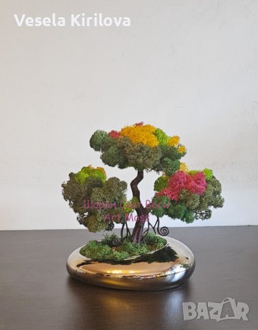 Дърво Бонзай в керамична кашпа, снимка 2 - Декорация за дома - 41836211