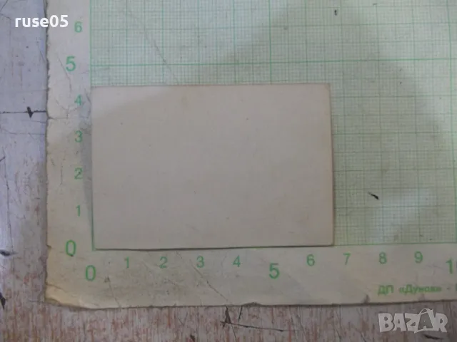 Снимка стара на разходка с колелета, снимка 2 - Колекции - 48003261