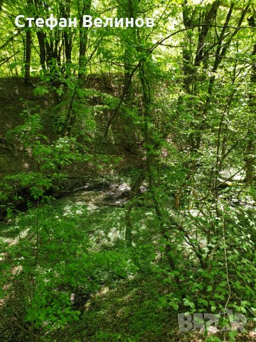 Продавам парцел в центъра на гр.Априлци, снимка 7 - Парцели - 14335829