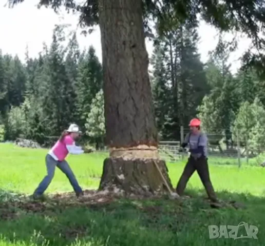 Оригинал Германски Имперски ТРИОН Джага к-т с двойни ръкохватки Бичкия Гатер Антика до 1908г. БАРТЕР, снимка 7 - Други инструменти - 47788335