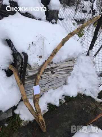 Дървен материал-чемшир (50-140лв), снимка 5 - Декорация за дома - 48544183