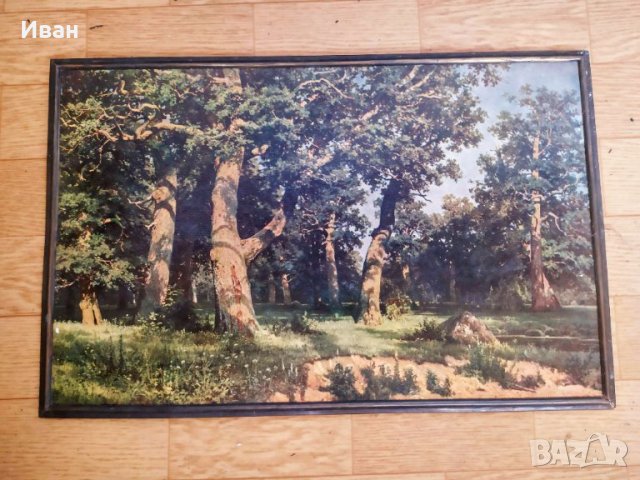 Картини Различни видове