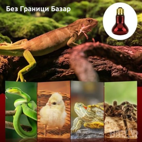 Нови 2 броя Инфрачервена Топлинна Лампа LEDBOKLI за животни - Ефективна и Безопасна, снимка 6 - Други стоки за дома - 43560659