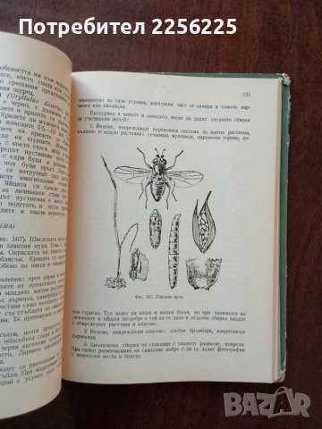 Полска практика по зоология, снимка 3 - Специализирана литература - 50453504